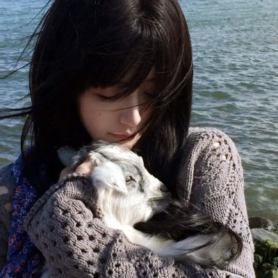 熊猫与你,滚滚而来!